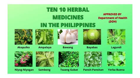 magkapatid nagkantotan|Halamang Gamot Sa Lagnat .